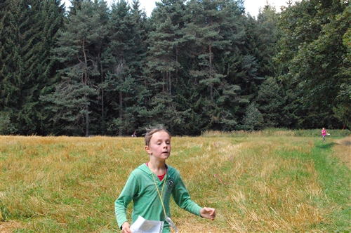 Obrázek v galerii